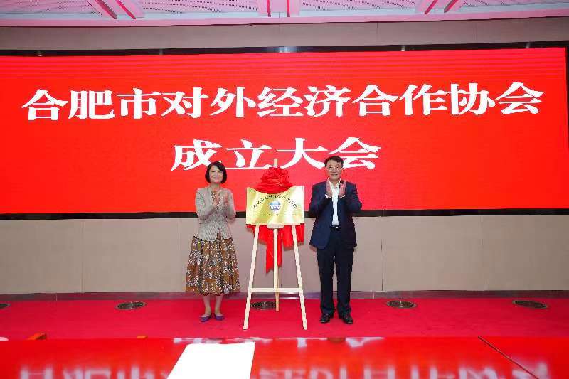 合肥市对外经济合作协会正式成立